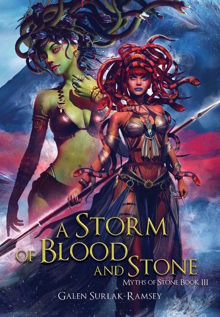 Vorderes Coverbild A Storm of Blood and Stone