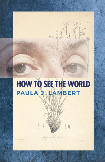 Vorderes Coverbild How to See the World