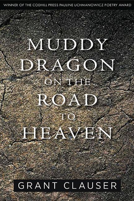 Vorderes Coverbild Muddy Dragon on the Road to Heaven