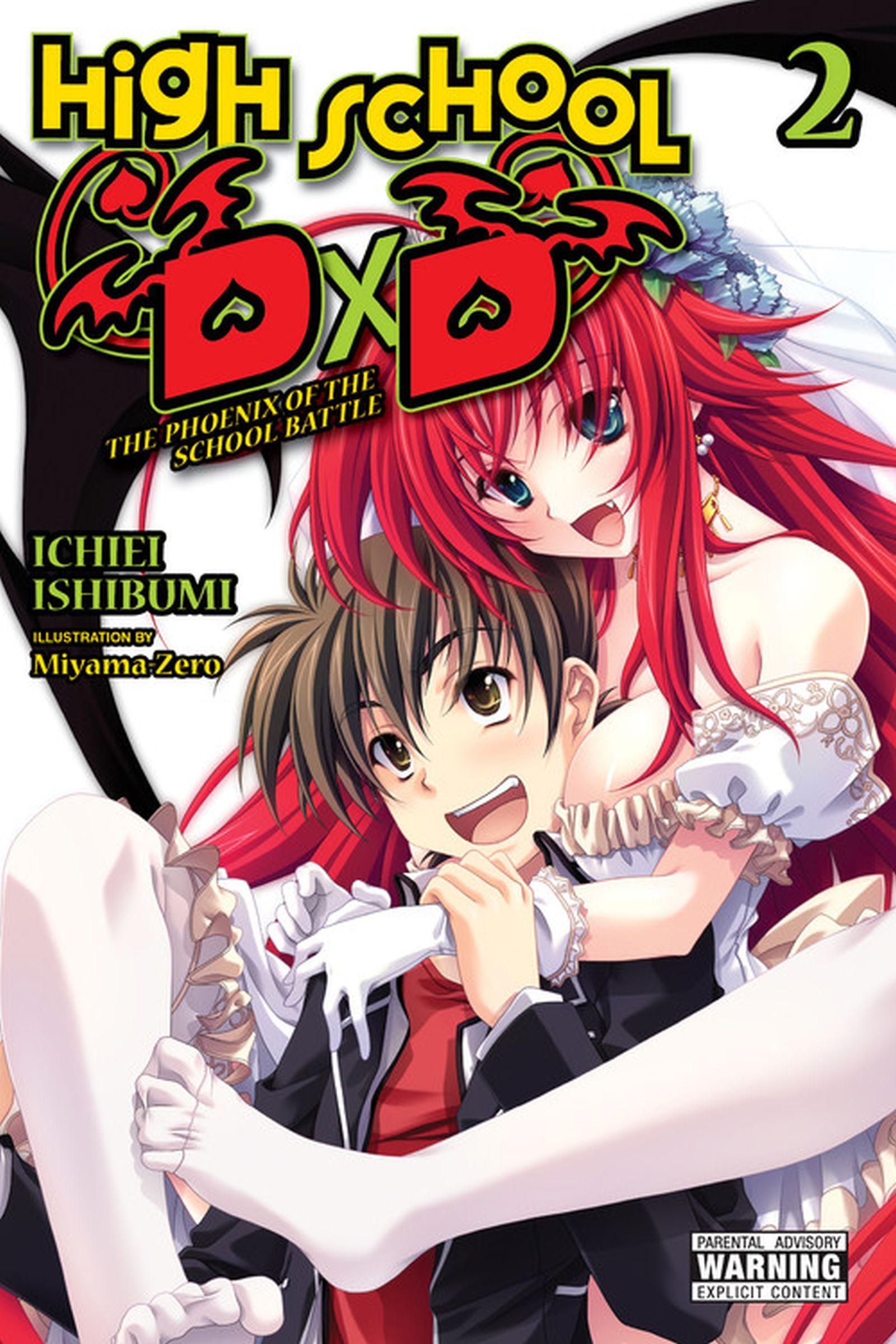 Vorderes Coverbild High School DXD, Vol. 2 (Light Novel)