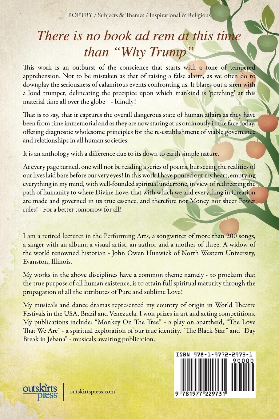 Rückseitencover Why Trump? The Boomerang