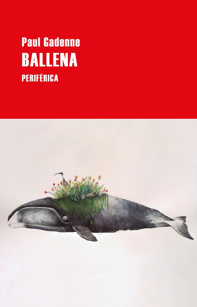 Vorderes Coverbild Ballena