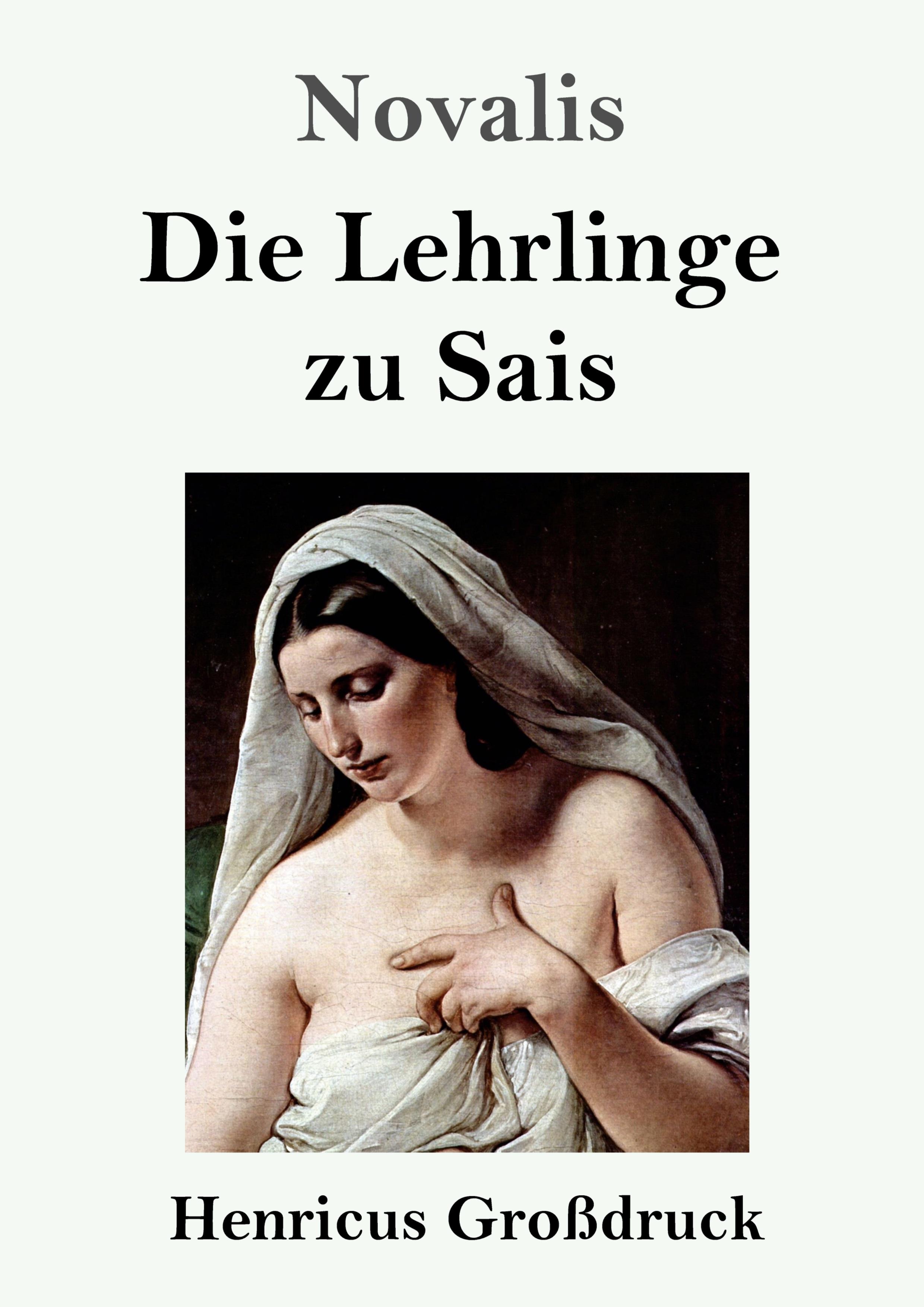 Vorderes Coverbild Die Lehrlinge zu Sais (Großdruck)