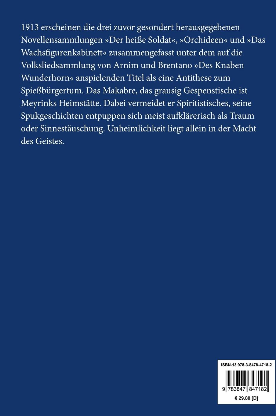 Rückseitencover Des Deutschen Spießers Wunderhorn (Großdruck)