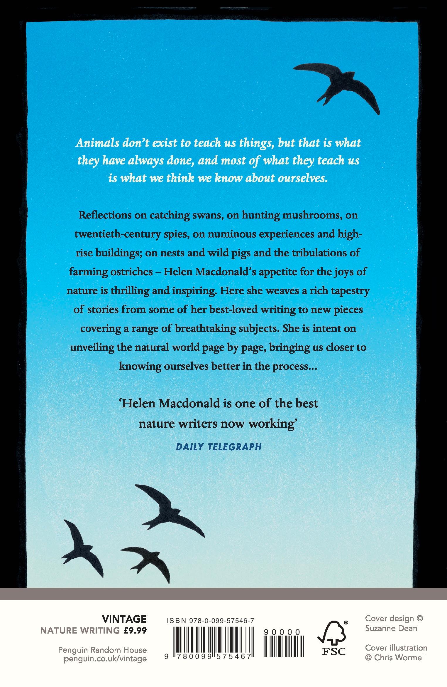 Rückseitencover Vesper Flights