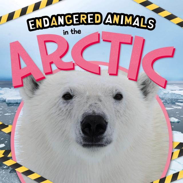 Vorderes Coverbild In the Arctic