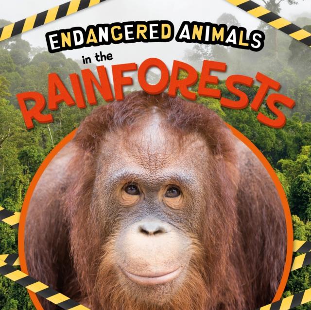 Vorderes Coverbild In the Rainforests