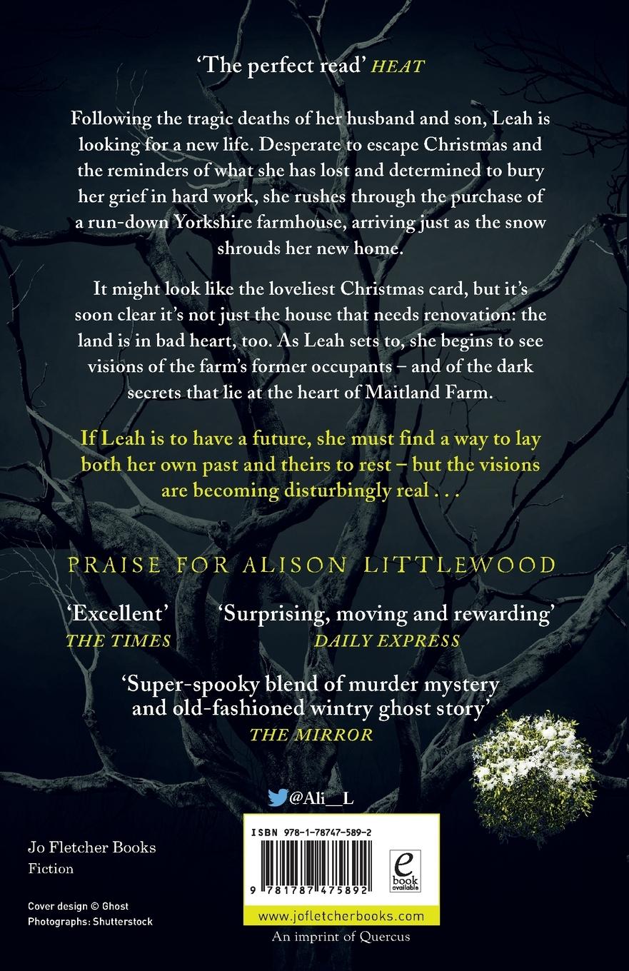 Rückseitencover Mistletoe