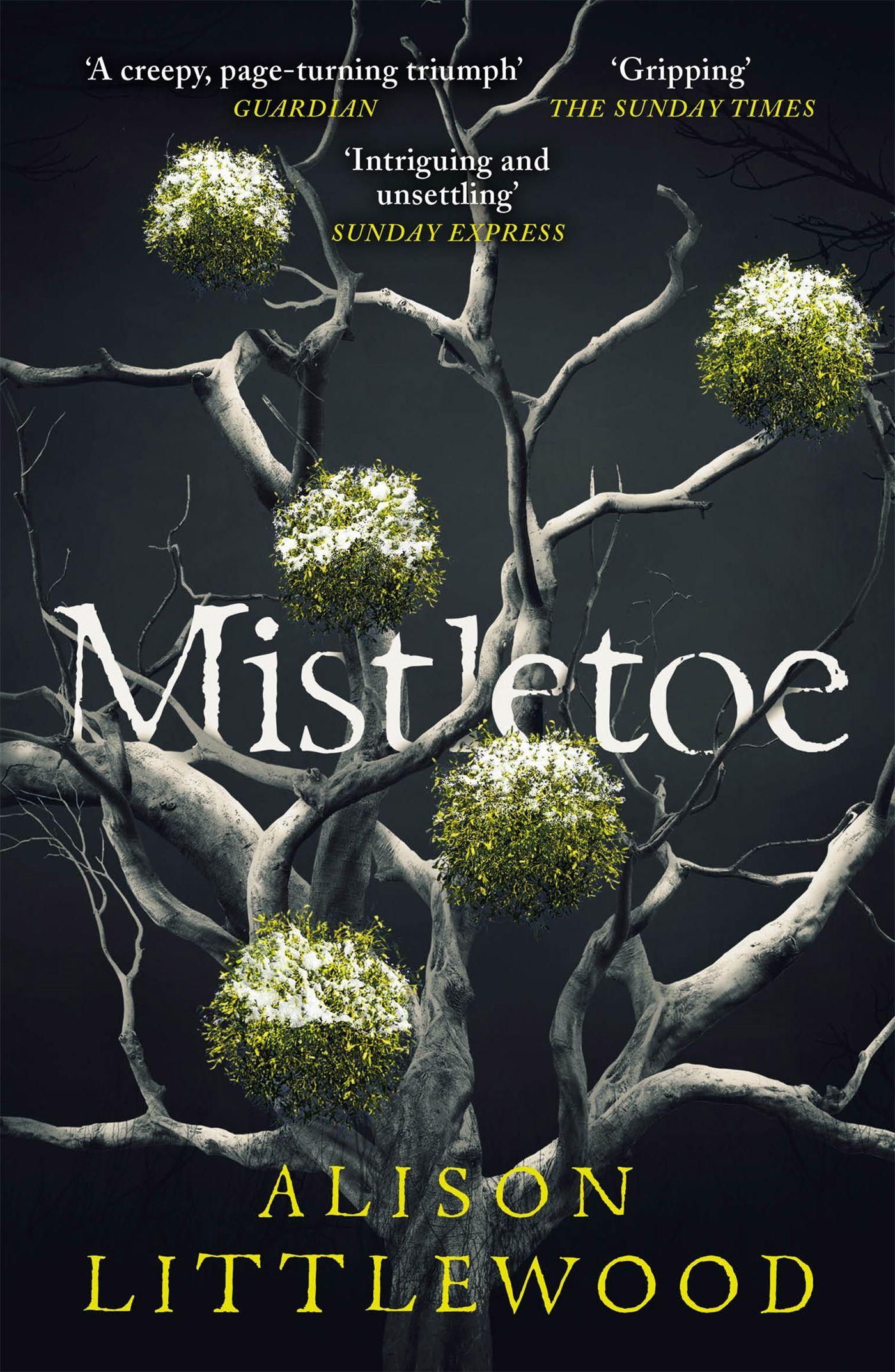 Vorderes Coverbild Mistletoe