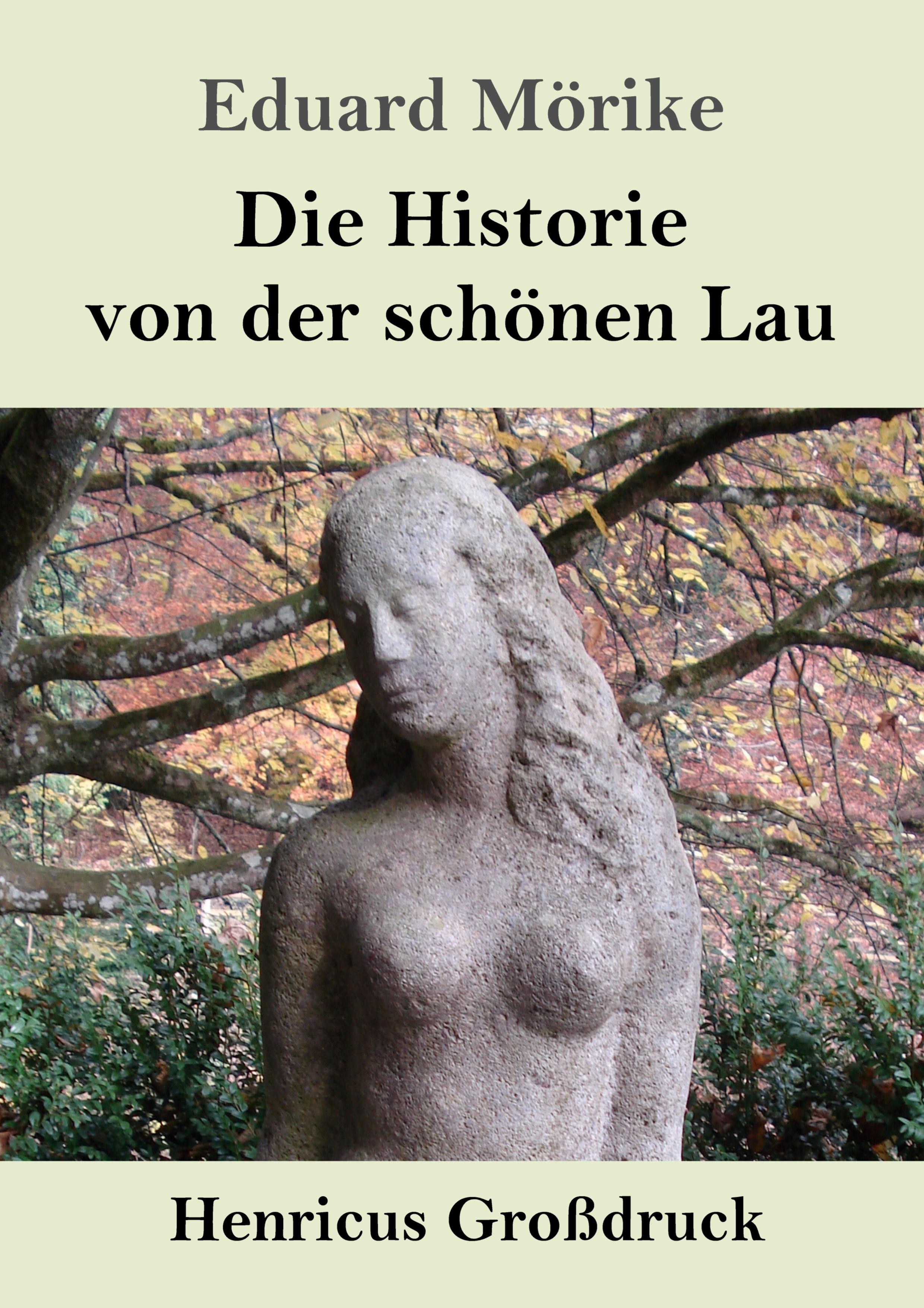 Vorderes Coverbild Die Historie von der schönen Lau (Großdruck)