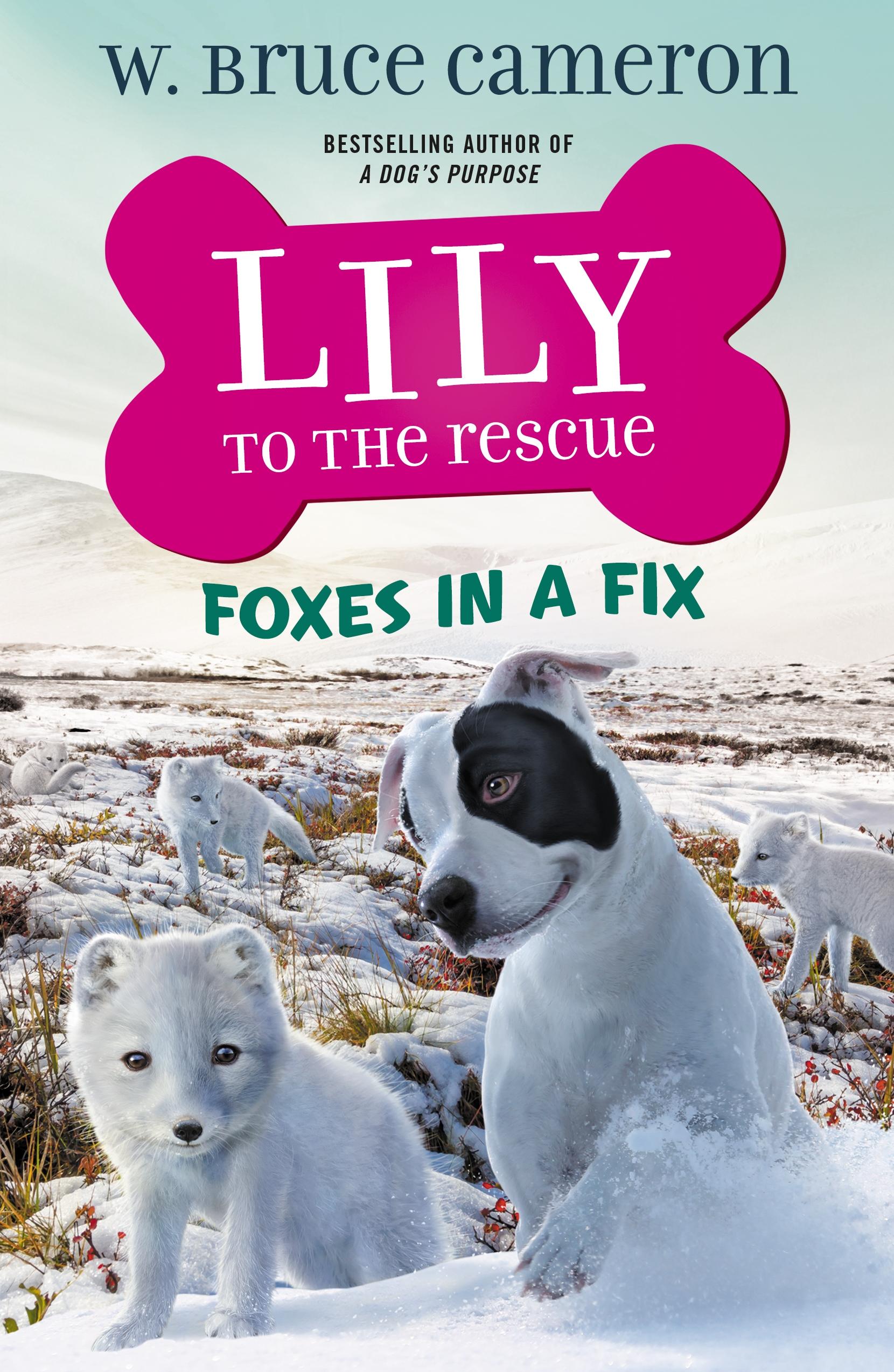 Vorderes Coverbild Lily to the Rescue: Foxes in a Fix