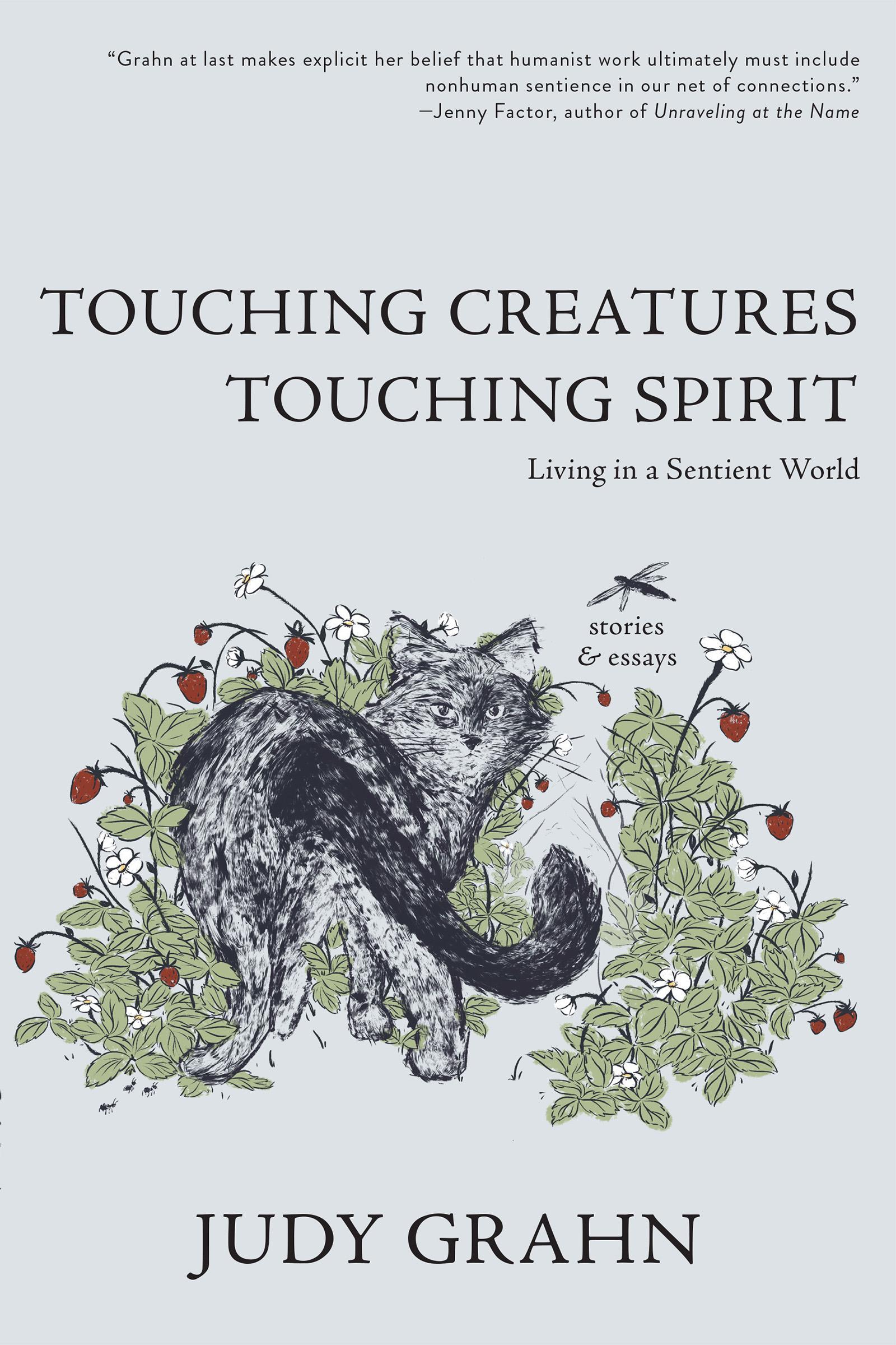 Vorderes Coverbild Touching Creatures, Touching Spirit