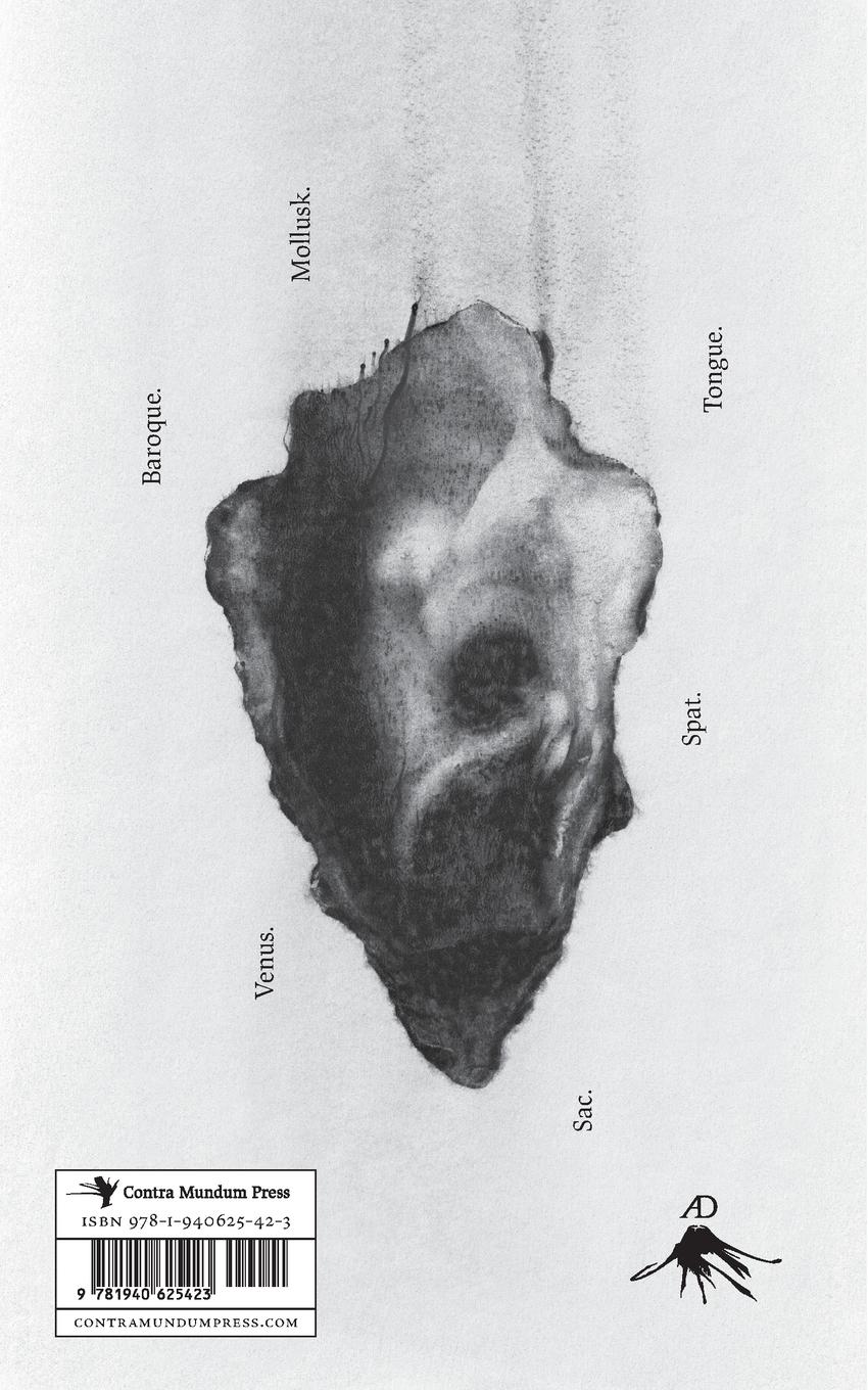 Rückseitencover The Oyster