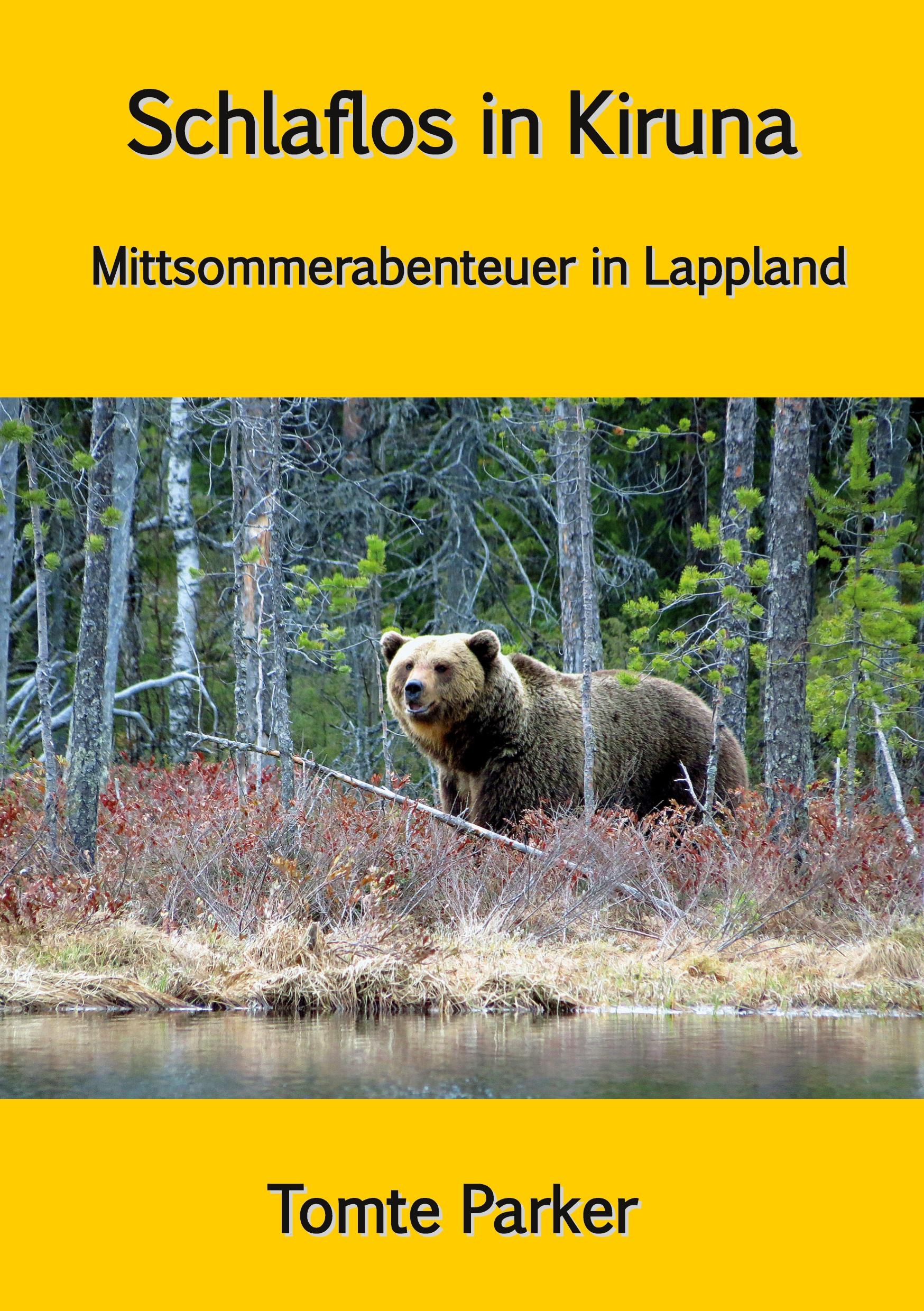 Vorderes Coverbild Schlaflos in Kiruna