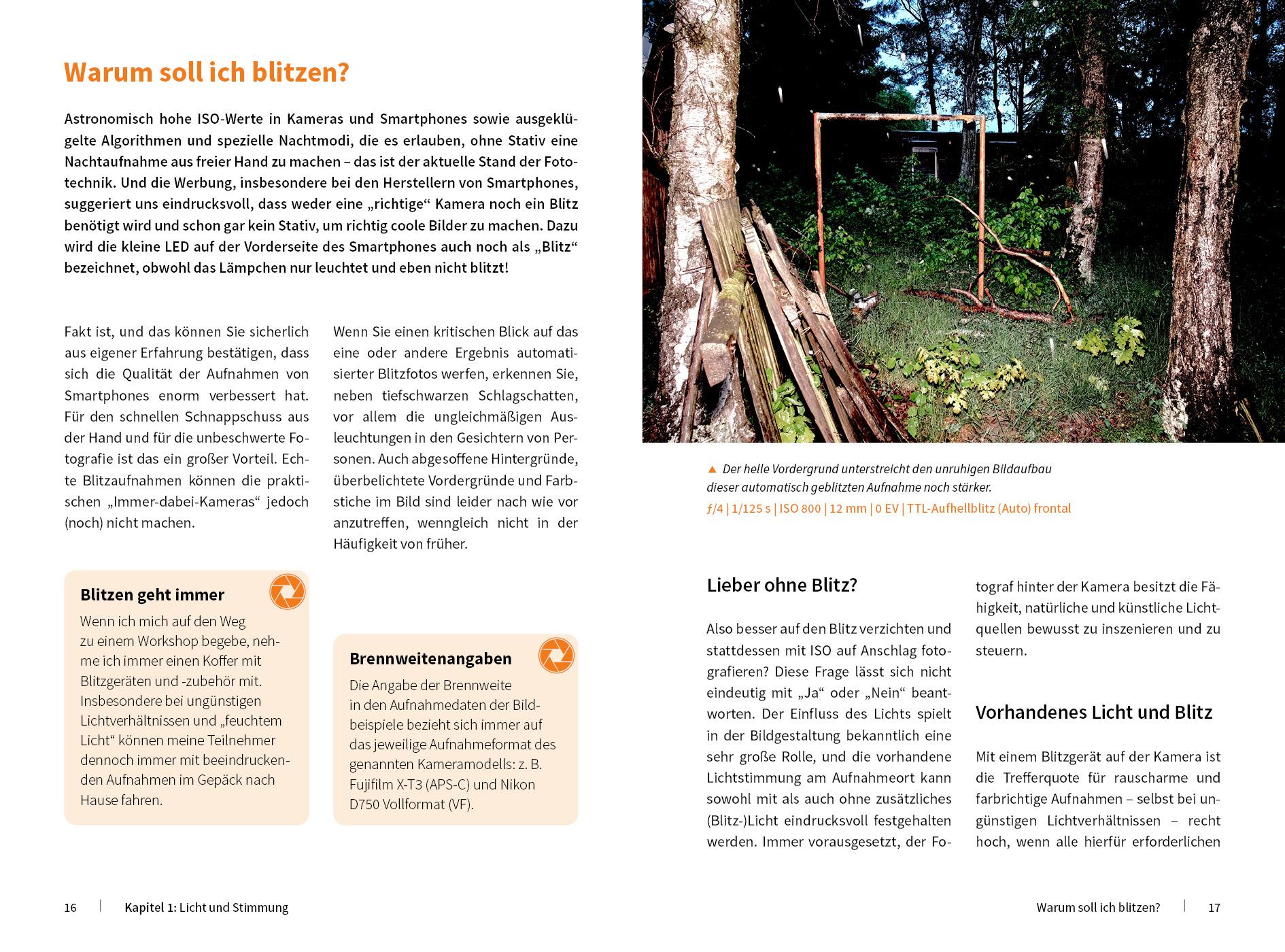 Beispielinhalt (Bild) Blitzfotografie