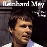 Vorderes Coverbild Die großen Erfolge