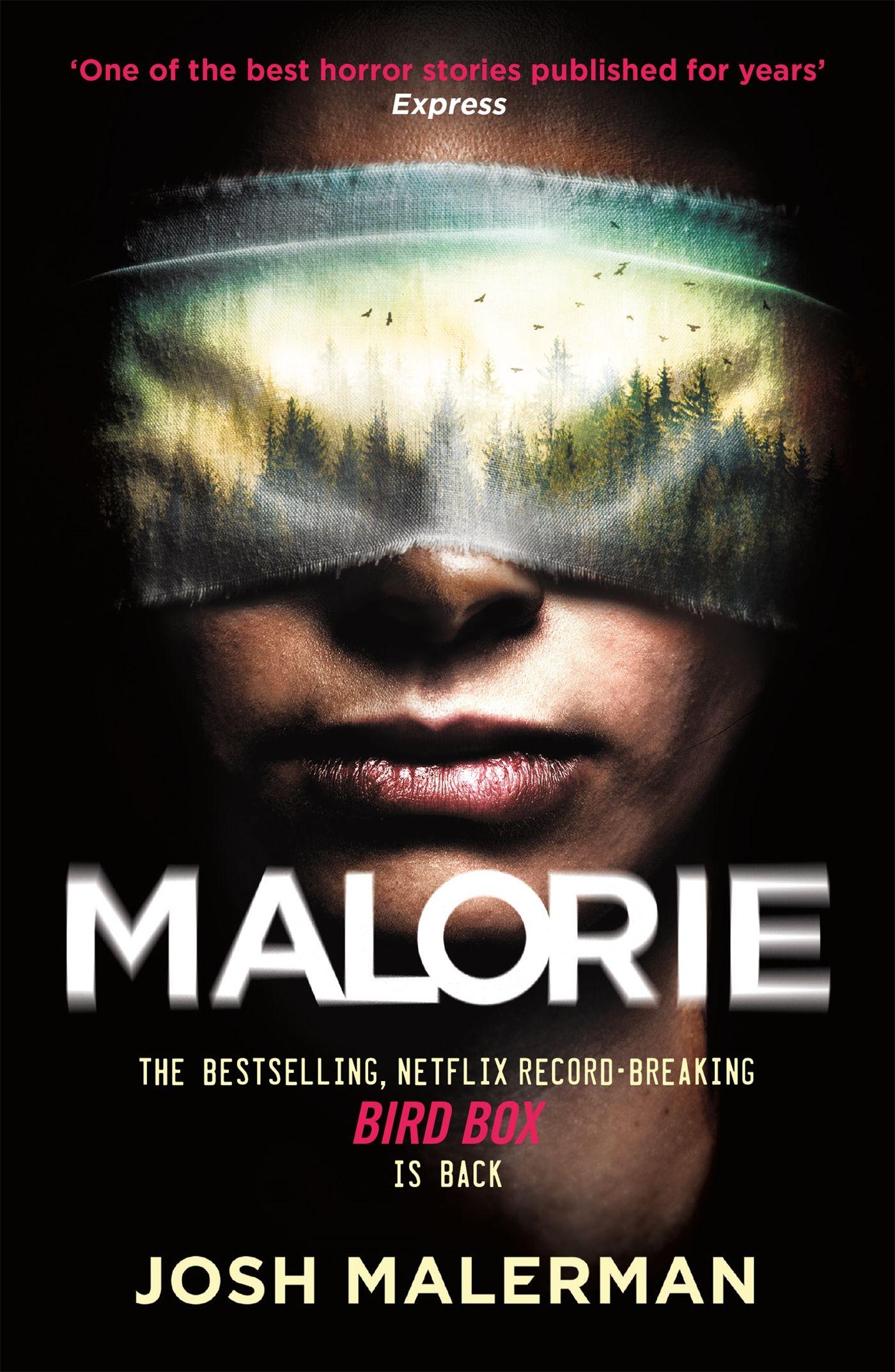 Vorderes Coverbild Malorie