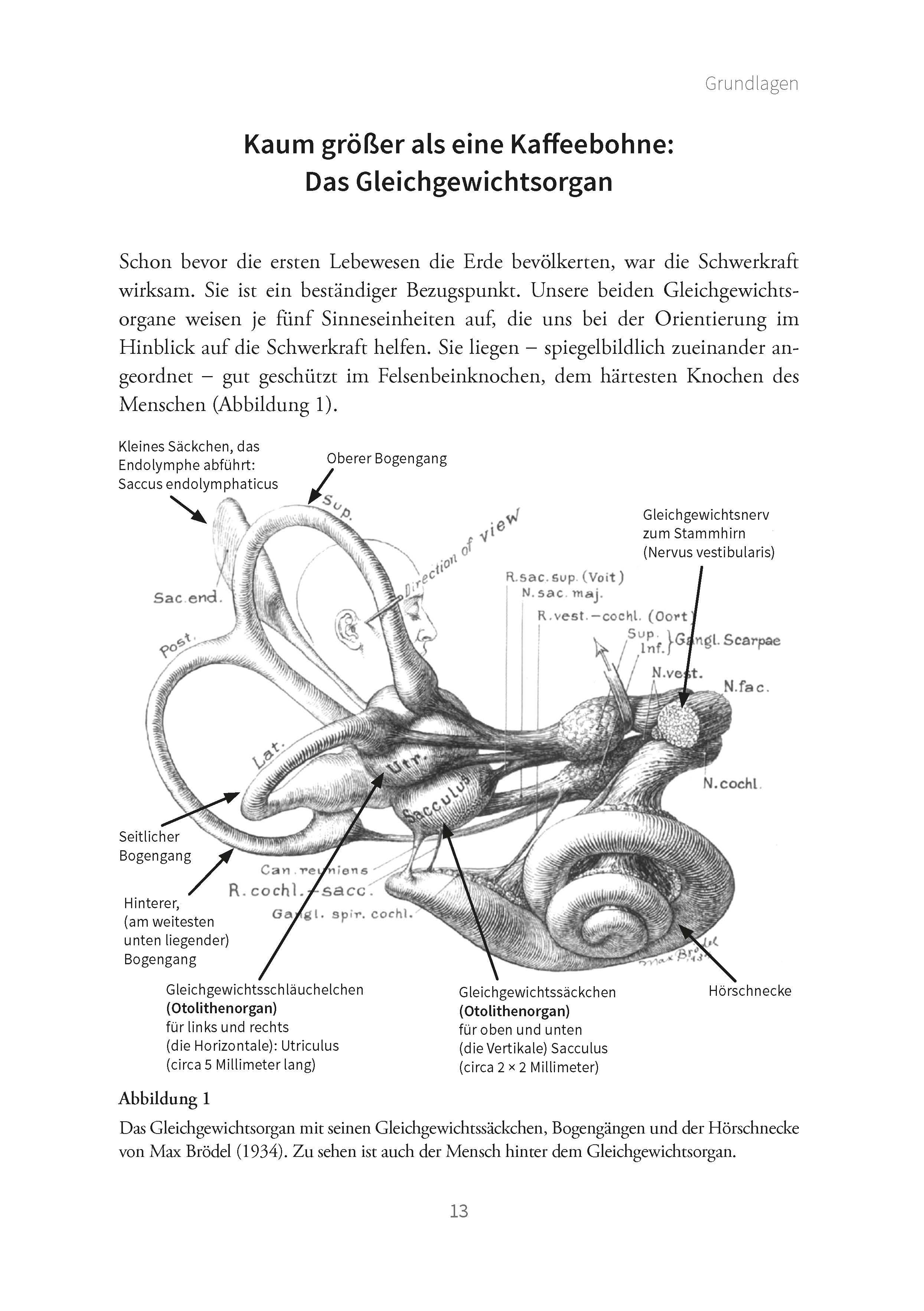 Beispielinhalt (Bild) Hilfe bei Schwindel