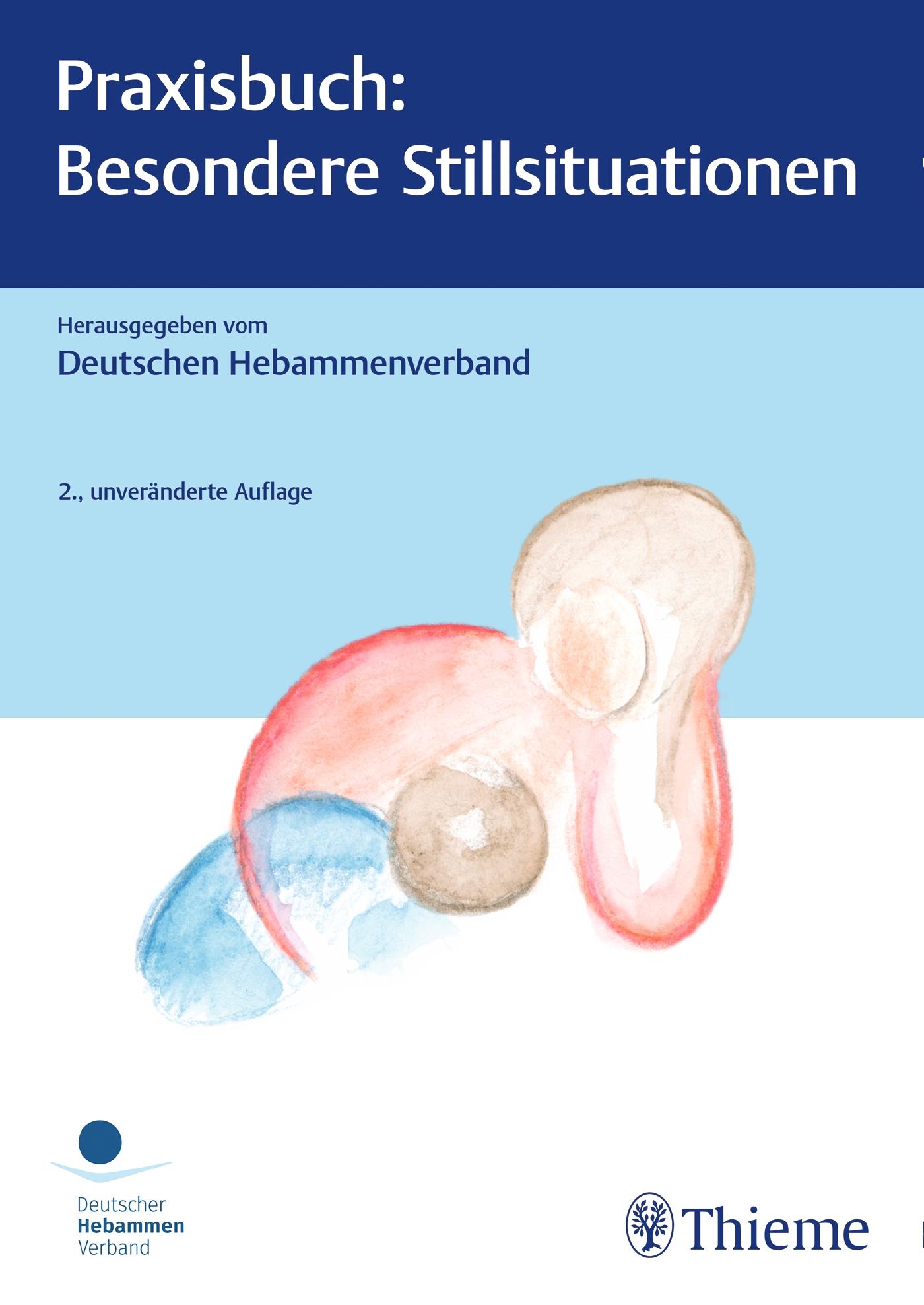 Vorderes Coverbild Praxisbuch: Besondere Stillsituationen