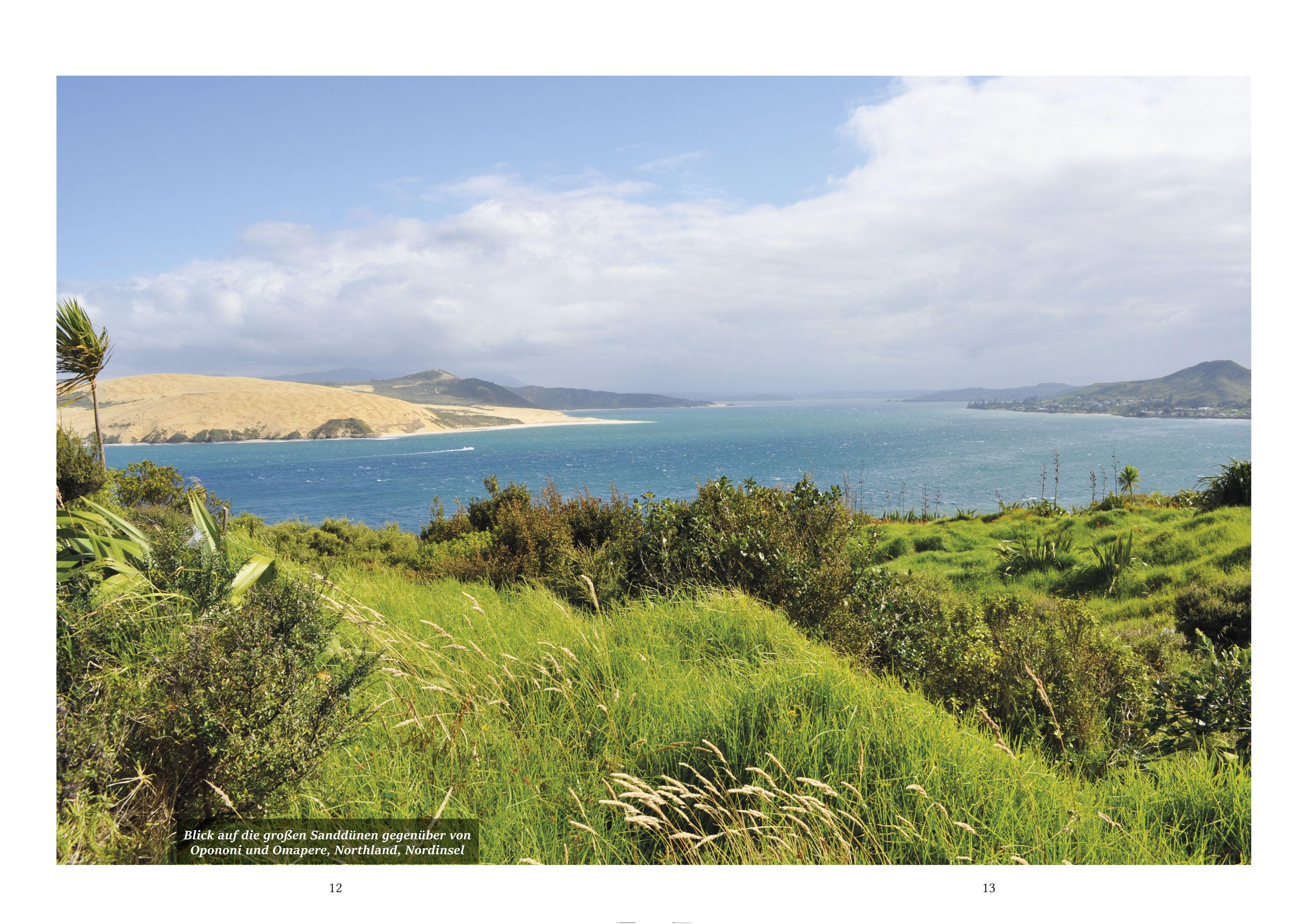 Beispielinhalt (Bild) Neuseeland - Land der Maori