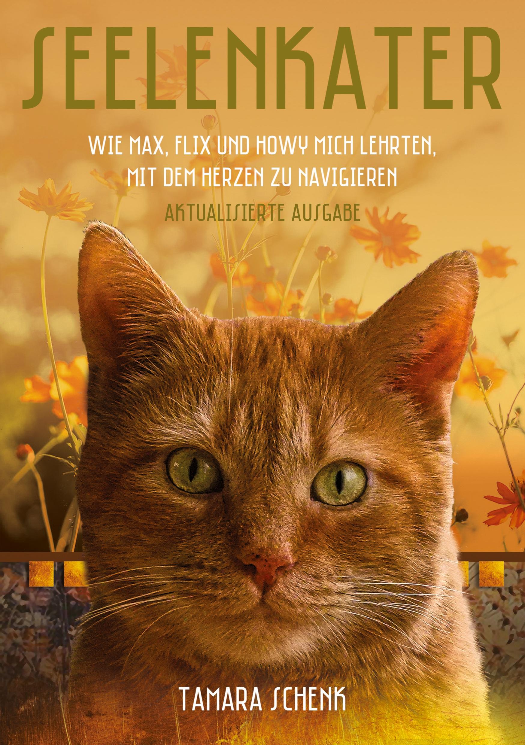 Vorderes Coverbild Seelenkater