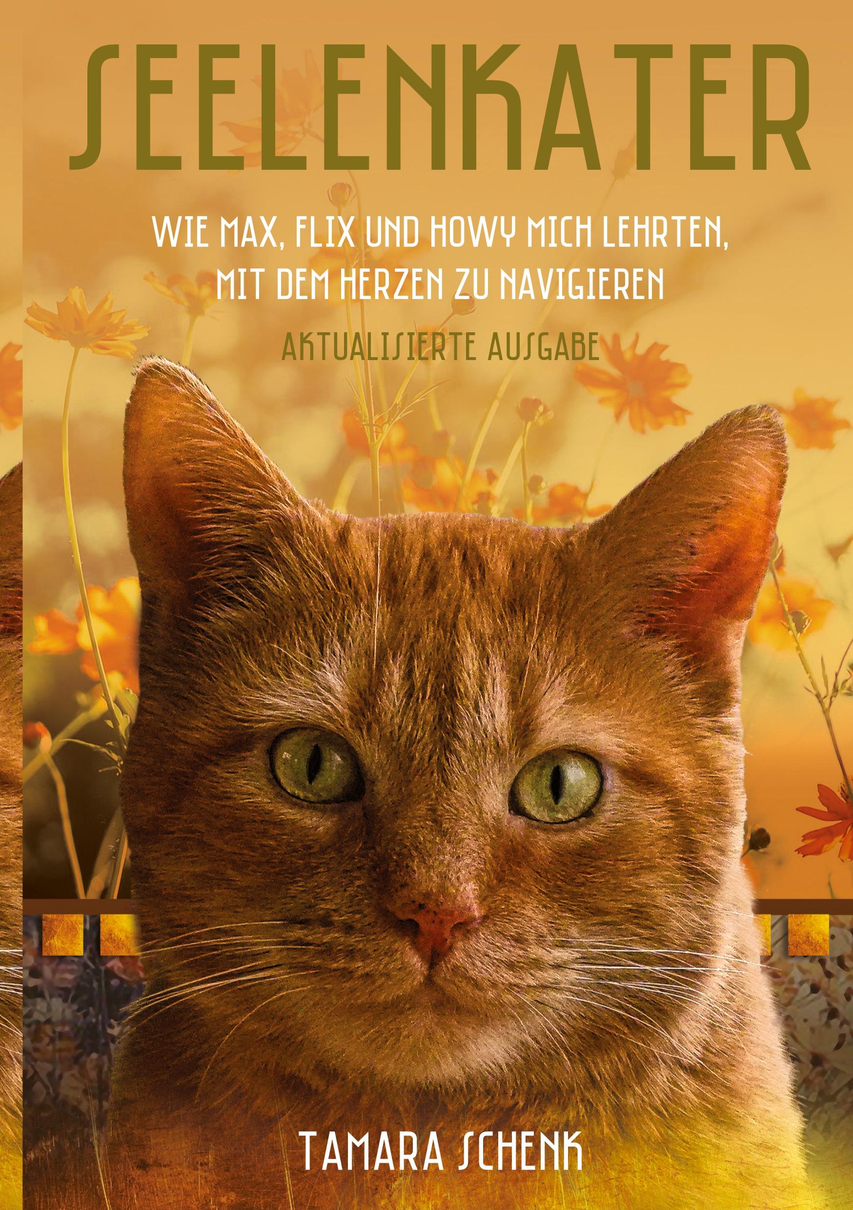 Vorderes Coverbild Seelenkater