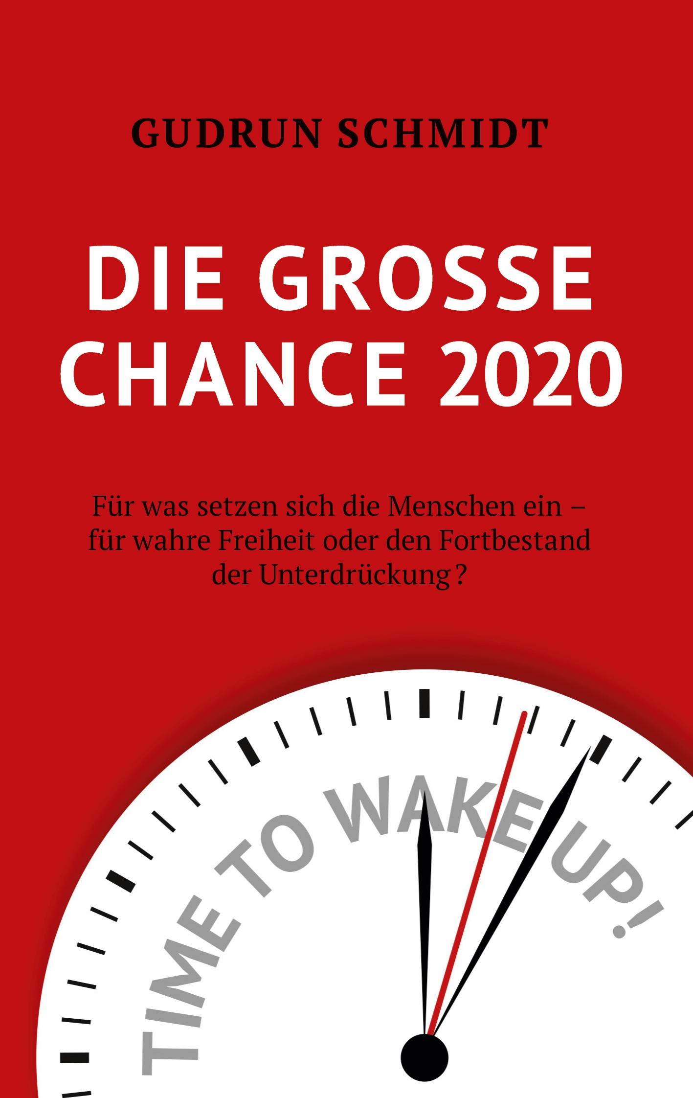 Vorderes Coverbild Die große Chance 2020