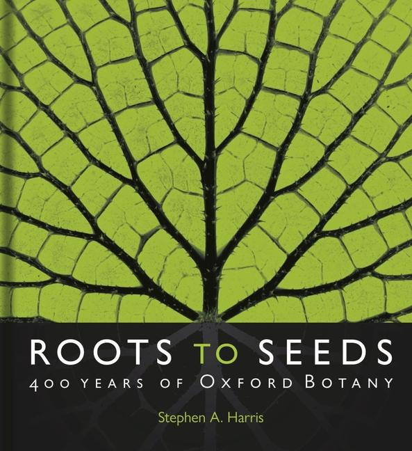 Vorderes Coverbild Roots to Seeds