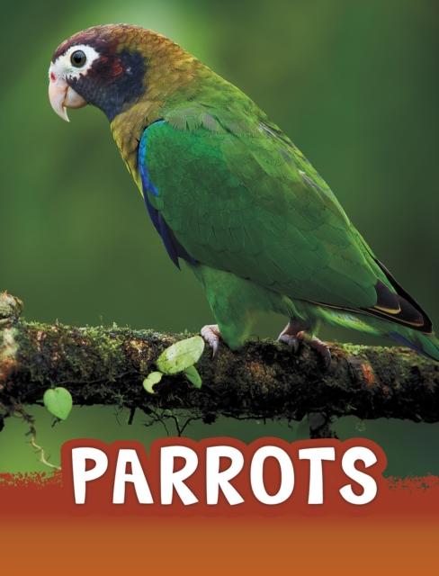Vorderes Coverbild Parrots