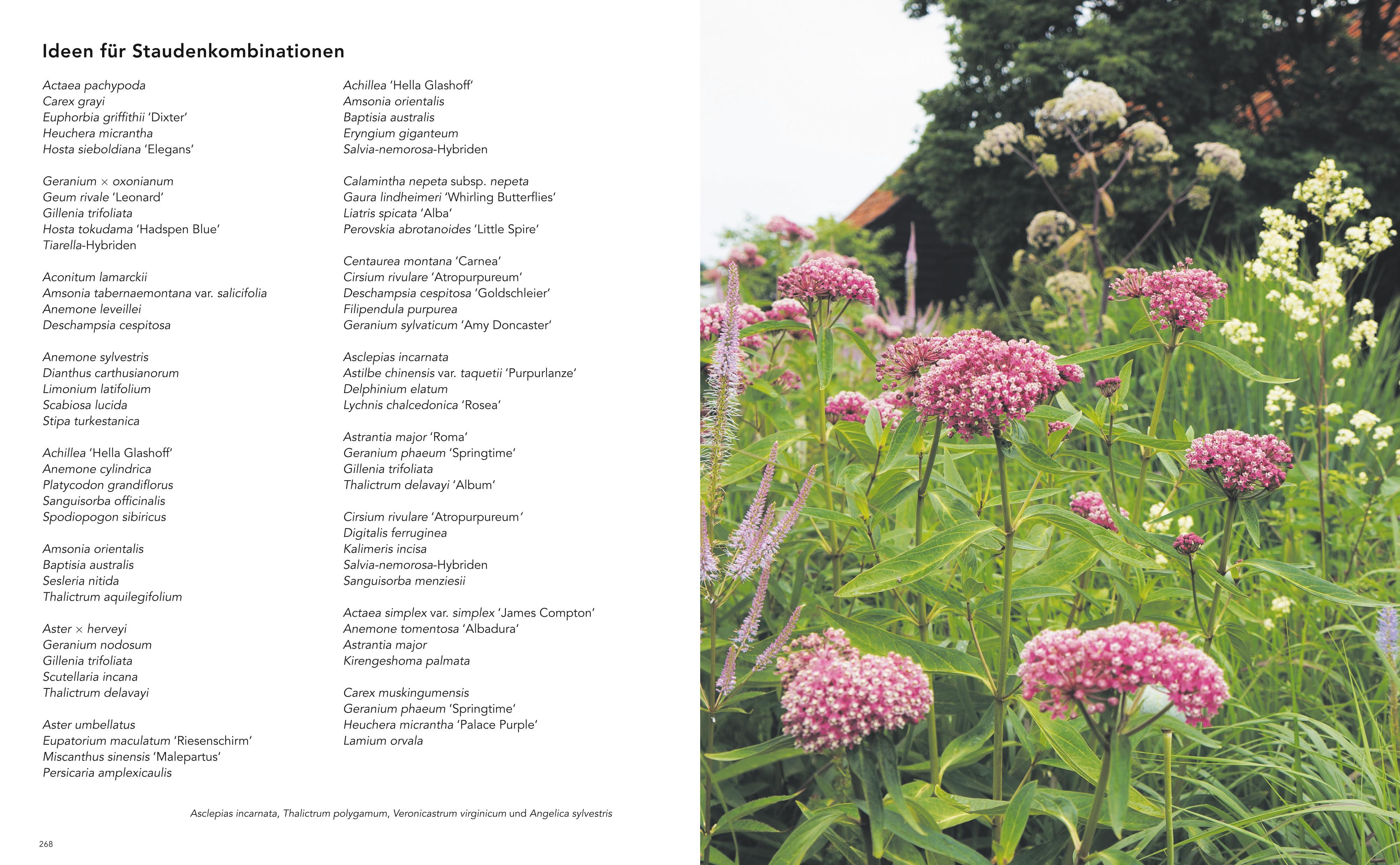 Beispielinhalt (Bild) Gärten inspiriert von der Natur