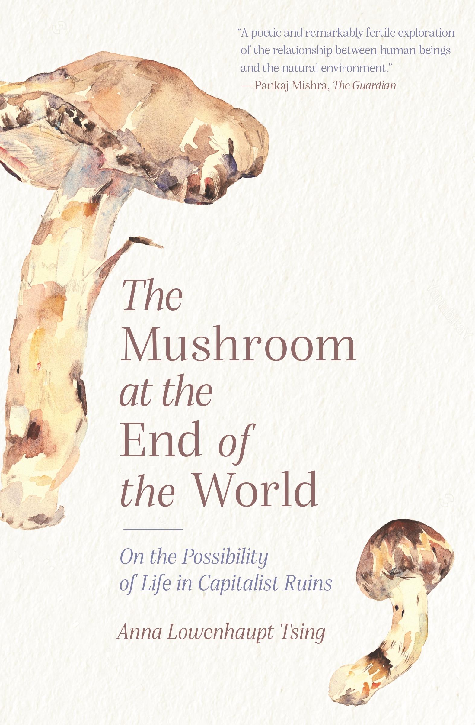 Vorderes Coverbild Mushroom at the End of the World