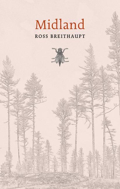 Vorderes Coverbild Midland