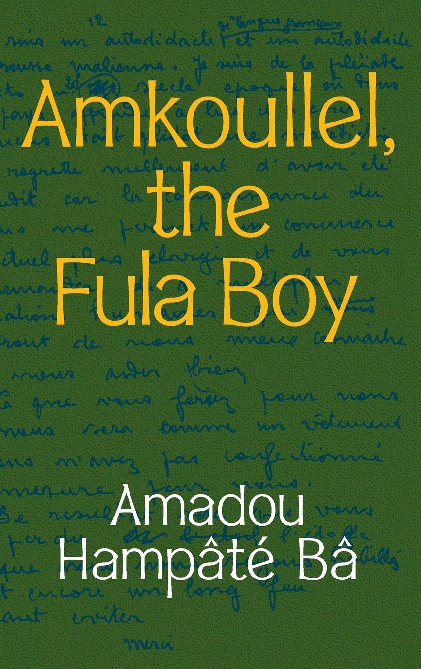 Vorderes Coverbild Amkoullel, the Fula Boy
