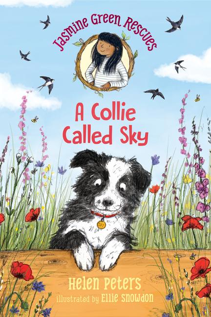 Vorderes Coverbild Jasmine Green Rescues: A Collie Called Sky