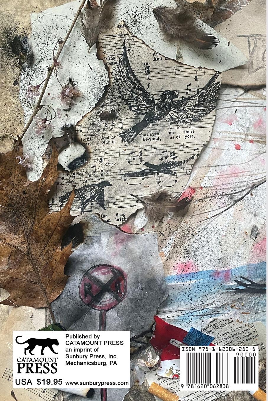 Rückseitencover Northern Appalachia Review v1