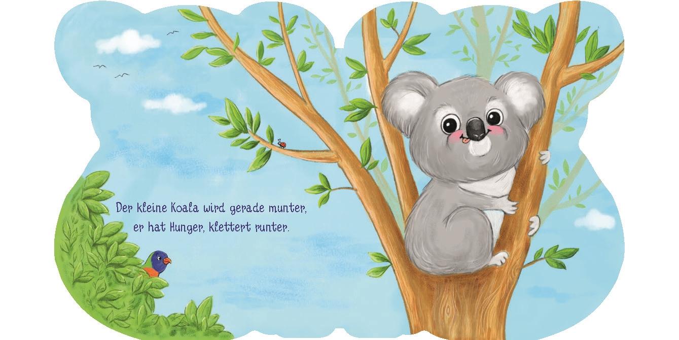 Beispielinhalt (Bild) Meine Tierfreunde. Hallo, kleiner Koala!