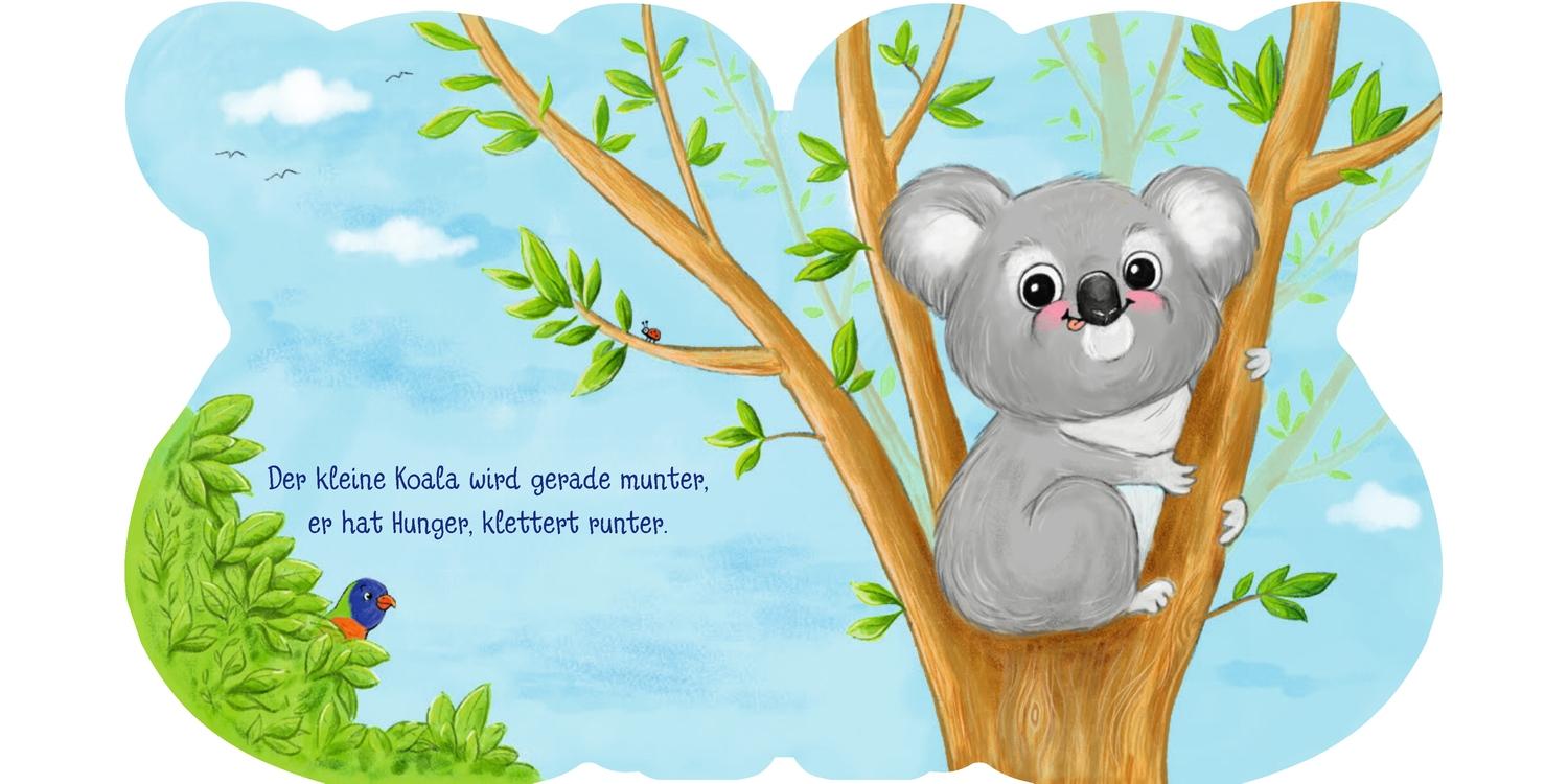 Beispielinhalt (Bild) Meine Tierfreunde. Hallo, kleiner Koala!