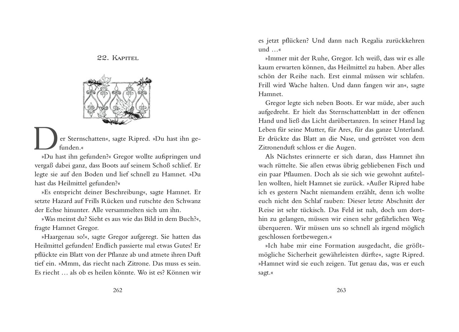 Beispielinhalt (Bild) Gregor 3. Gregor und der Spiegel der Wahrheit