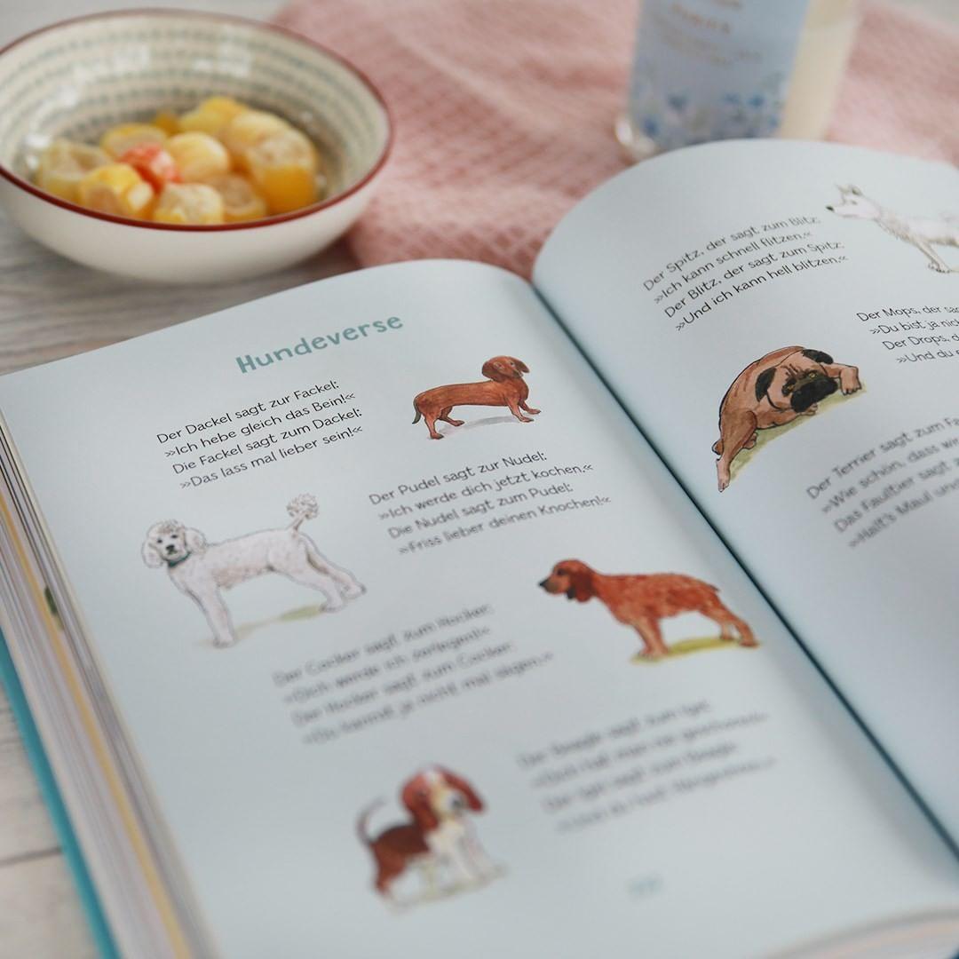 Beispielinhalt (Bild) Möpse, Dackel, Hütehunde