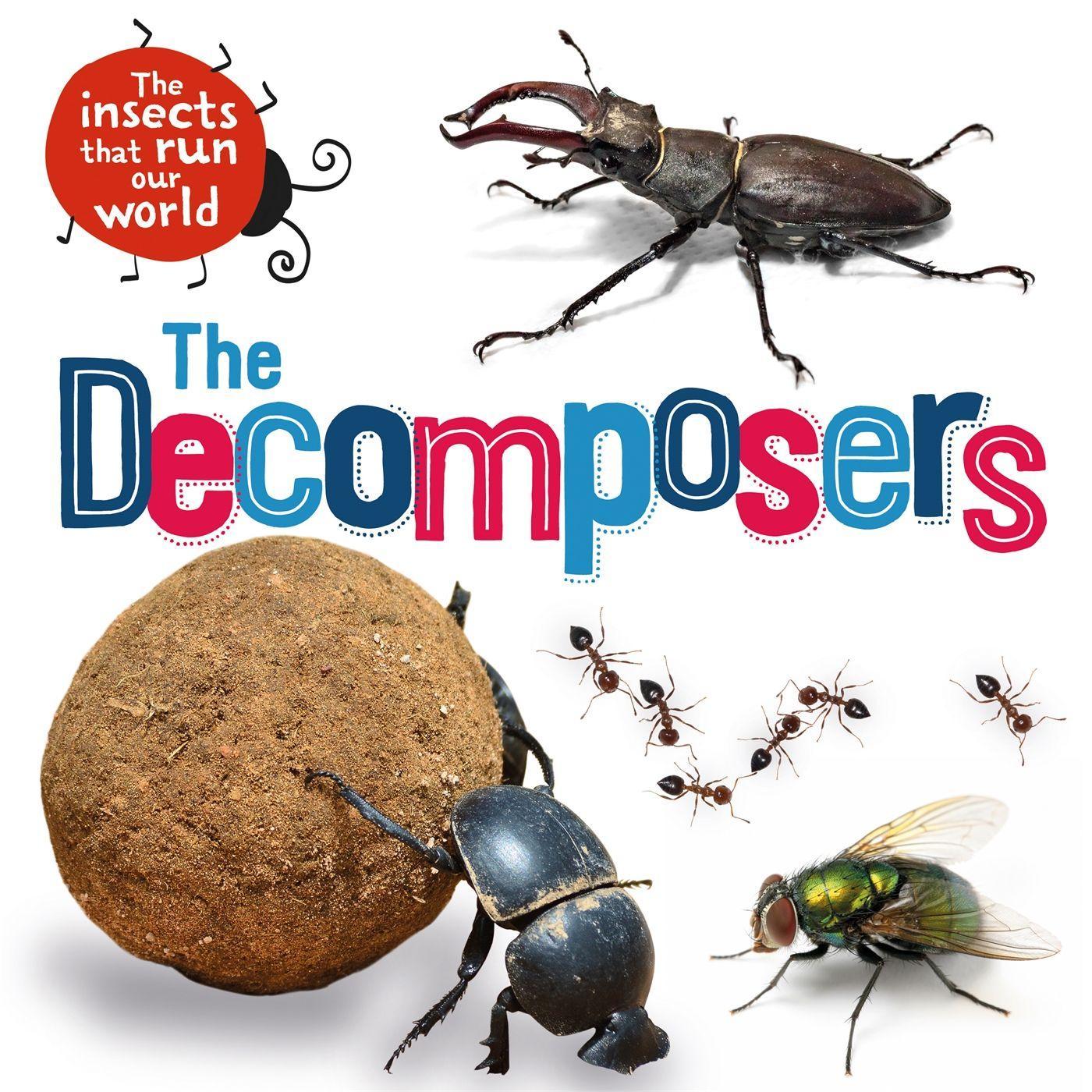 Vorderes Coverbild The Insects that Run Our World: The Decomposers
