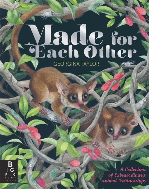 Vorderes Coverbild Made for Each Other