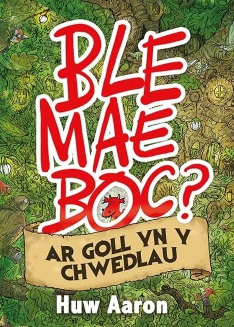 Vorderes Coverbild Ble Mae Boc? ar Goll yn y Chwedlau