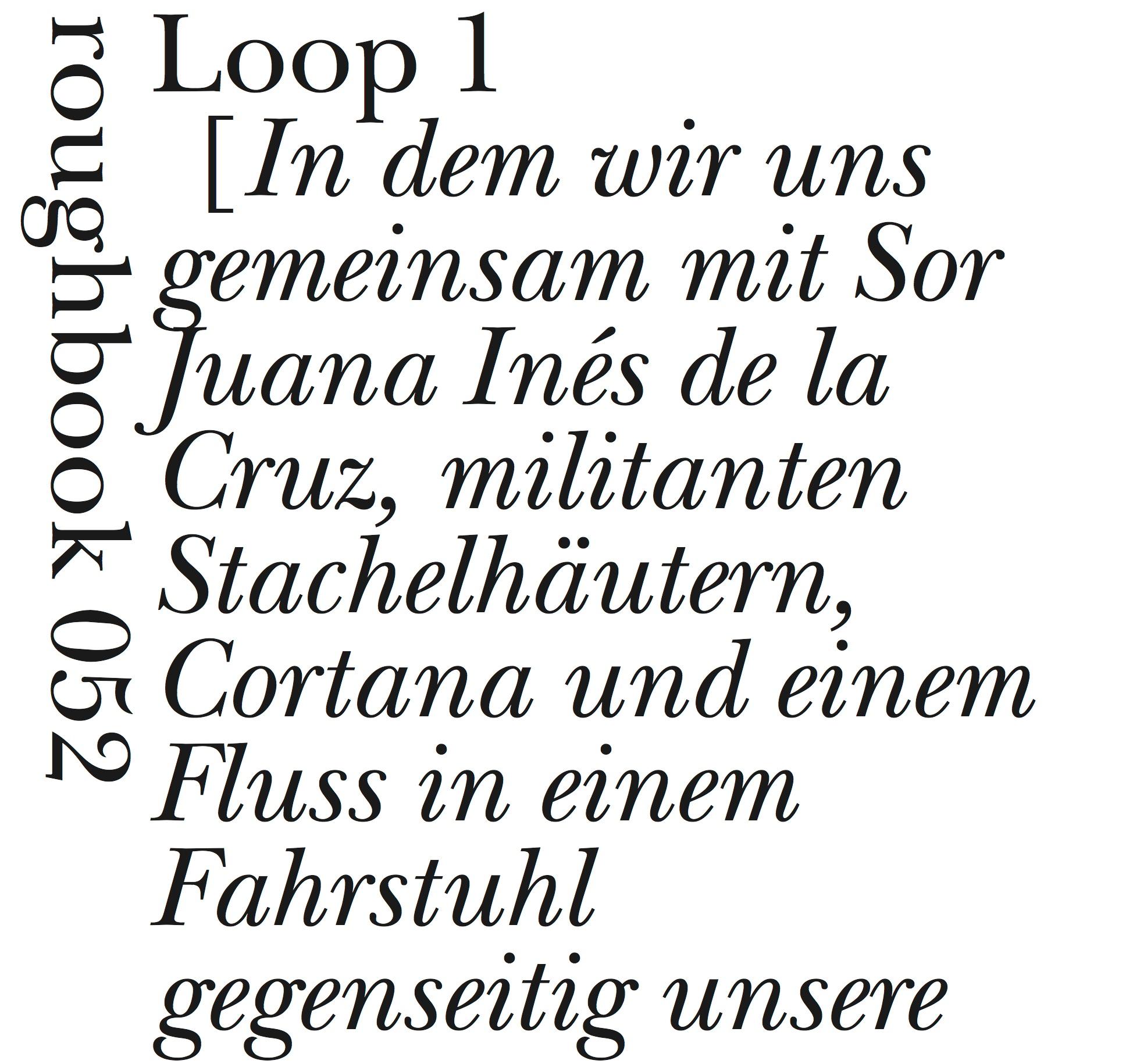 Vorderes Coverbild Loops