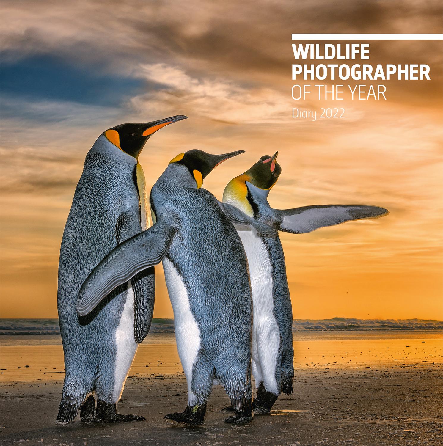 Vorderes Coverbild Wildlife Photographer of the Year Desk Diary 2022