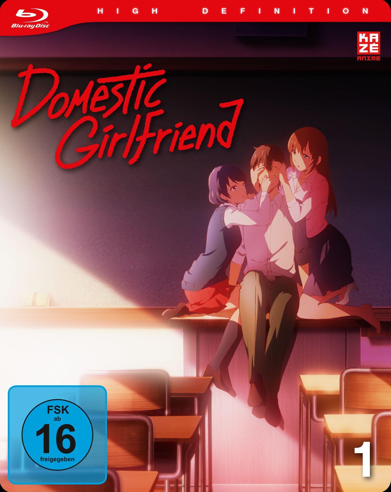 Vorderes Coverbild Domestic Girlfriend