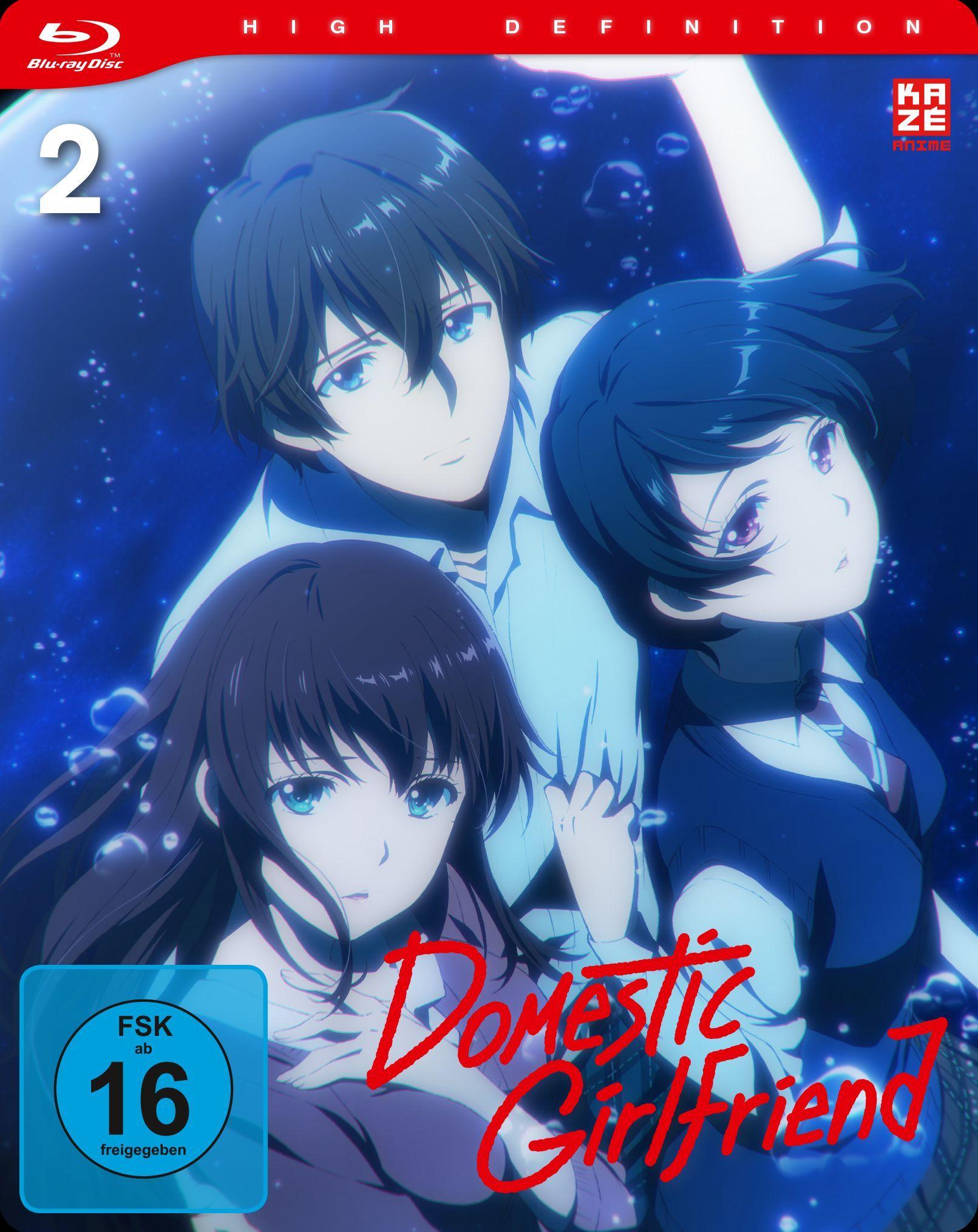 Vorderes Coverbild Domestic Girlfriend