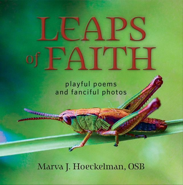 Vorderes Coverbild Leaps of Faith