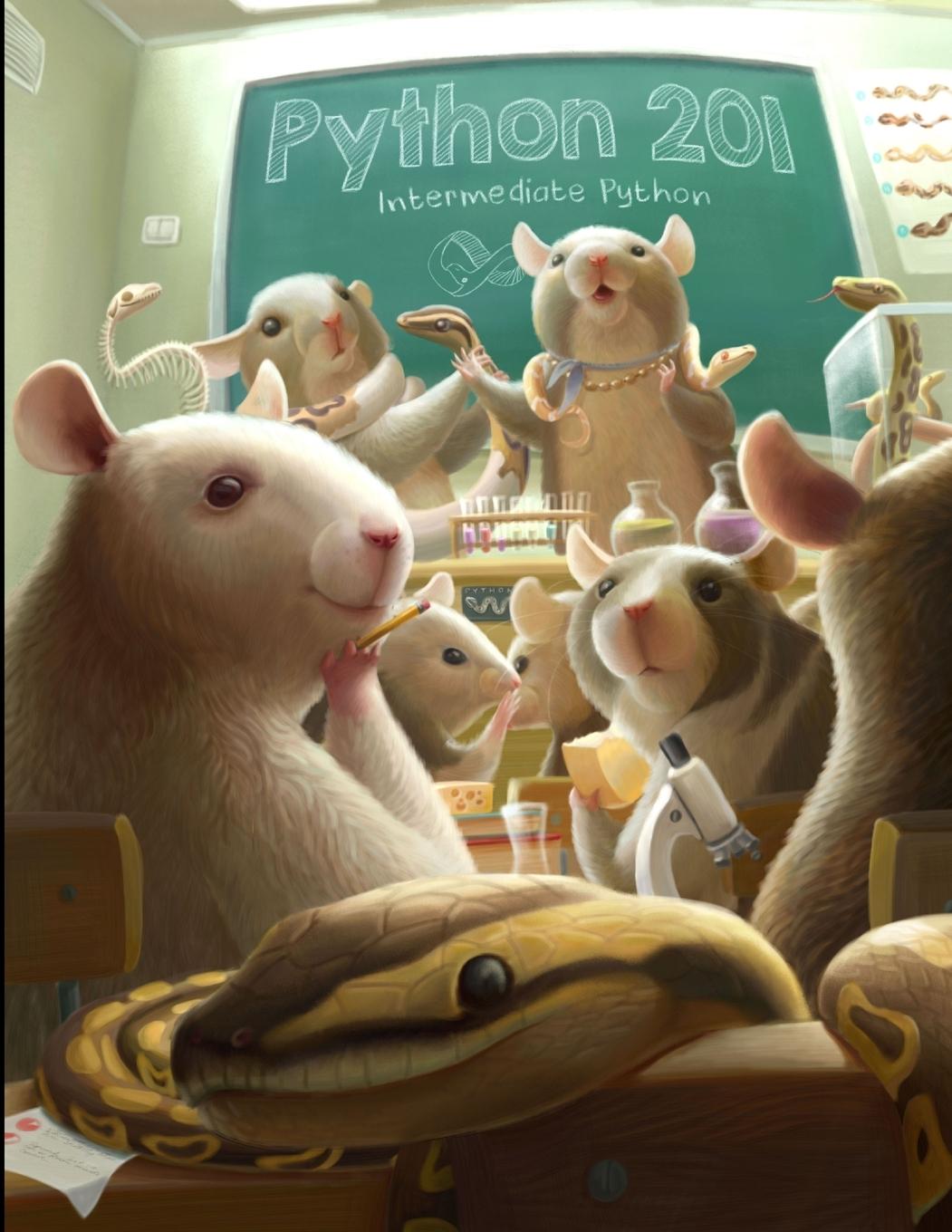Vorderes Coverbild Python 201