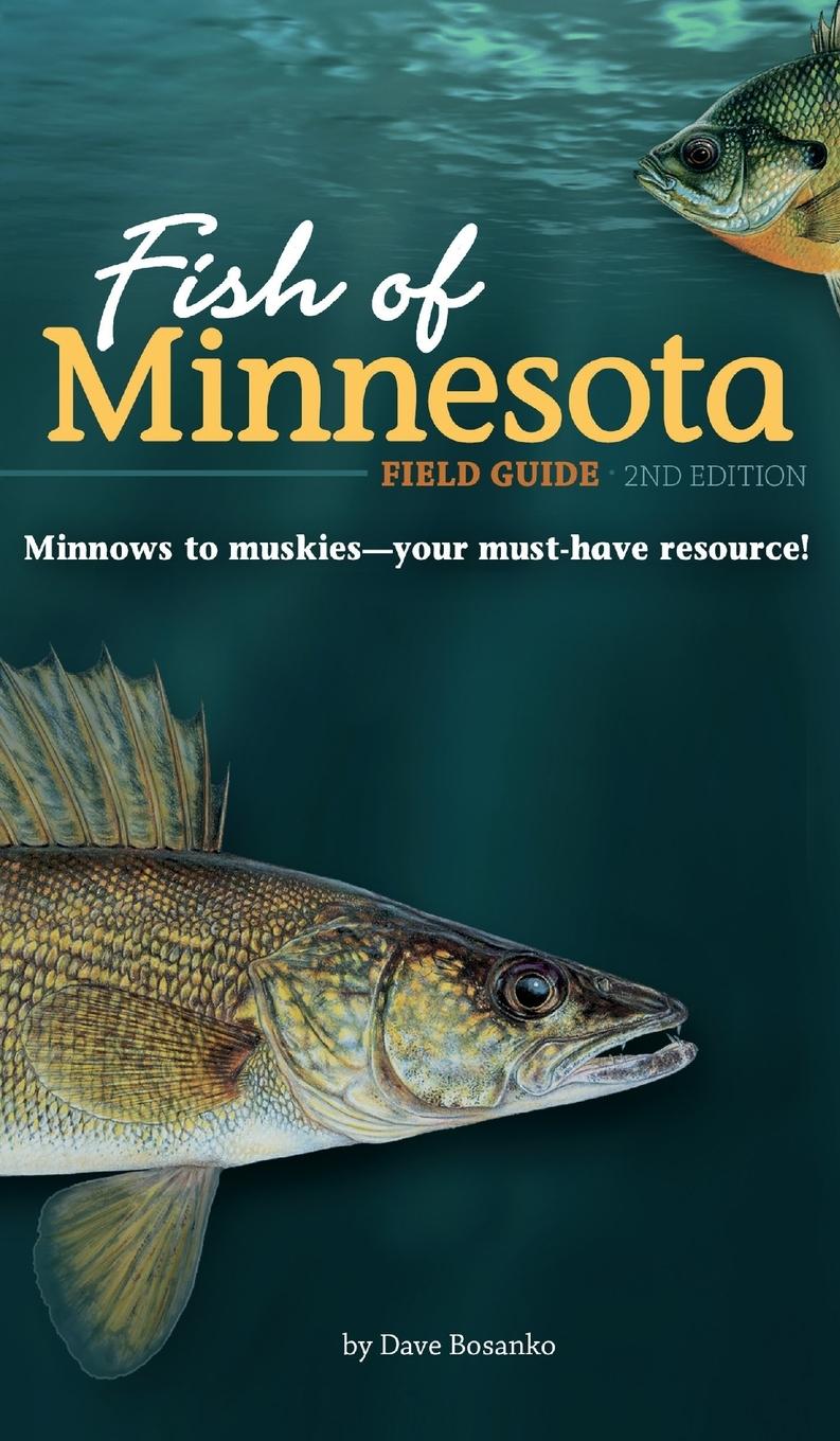 Vorderes Coverbild Fish of Minnesota Field Guide