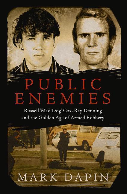 Vorderes Coverbild Public Enemies
